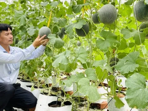 Xây dựng đội ngũ nông dân chuyên nghiệp trong thời đại kinh tế số