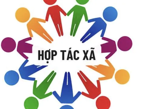 Phát triển thành viên chính thức: Nền tảng bền vững của hợp tác xã