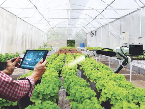 Nông nghiệp thông minh: Liên kết chuỗi giá trị sản xuất và tiêu thụ nông sản