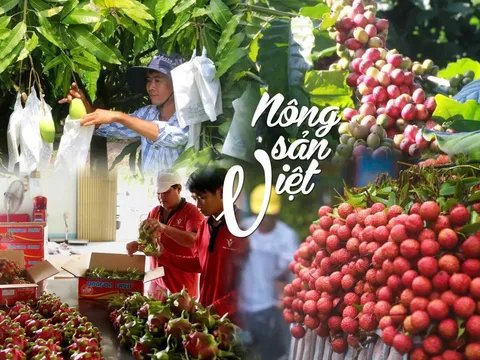 Nông sản Việt Nam: Mức tăng trưởng lịch sử gần 45 tỷ USD