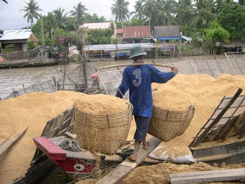Phế phẩm nông nghiệp: Biến rác thải thành tài nguyên quý giá, mở lối kinh tế tuần hoàn
