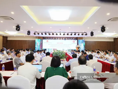 Chuyển đổi chiến lược: Nông nghiệp xanh, tuần hoàn là giải pháp "sống còn" cho nông sản Việt