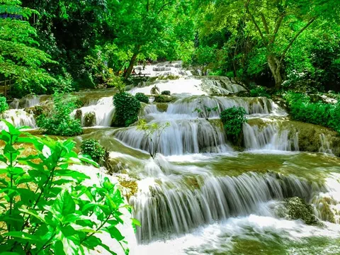 Đạo của nước: Trí tuệ tuyệt vời của sự mềm dẻo