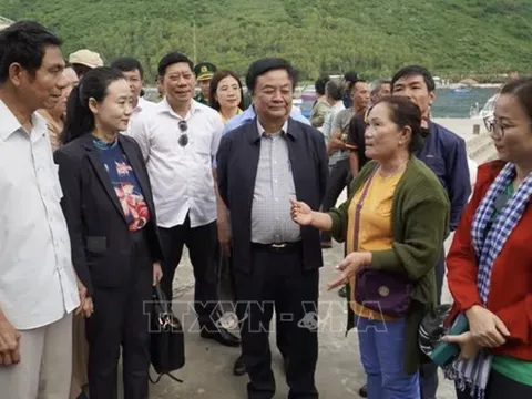 Đổi mới tư duy để nông nghiệp đi xa và bền vững