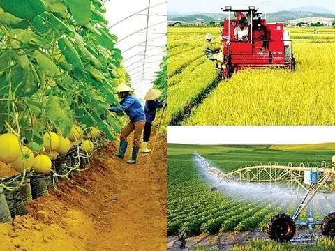 Khuyến nông và năng suất lao động: Thay đổi từ cách nghĩ, không chỉ từ cách làm