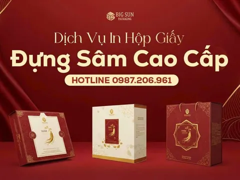 In hộp sâm tại Big Sun: Bí quyết nâng tầm thương hiệu từ bao bì