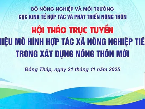 Livestream: Hội thảo trực tuyến “Giới thiệu mô hình hợp tác xã nông nghiệp tiêu biểu trong xây dựng nông thôn mới”