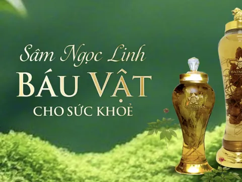 Thảo Nguyên - Lan toả giá trị dược liệu Ngọc Linh, giữ gìn sức khoẻ cộng đồng