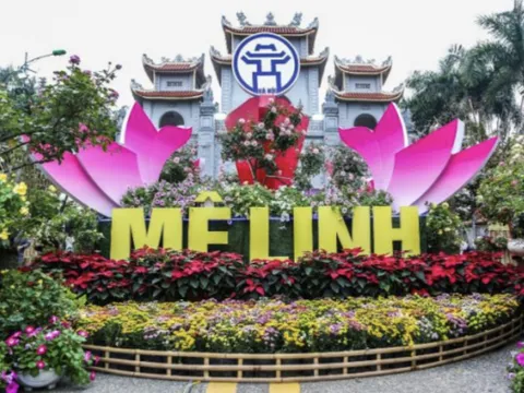 Từ làng nghề đến thị trường quốc tế: Bài toán thiết kế sáng tạo cho sản phẩm OCOP Việt Nam