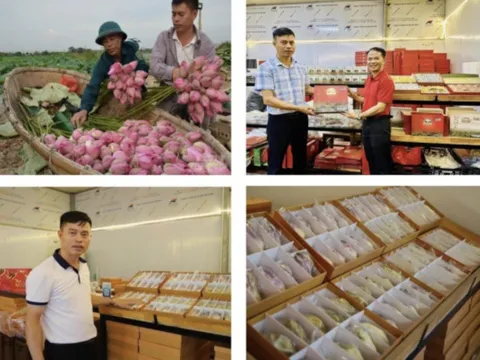 Kinh tế sáng tạo và du lịch trải nghiệm: Hướng đi tất yếu của sản phẩm OCOP trong giai đoạn mới