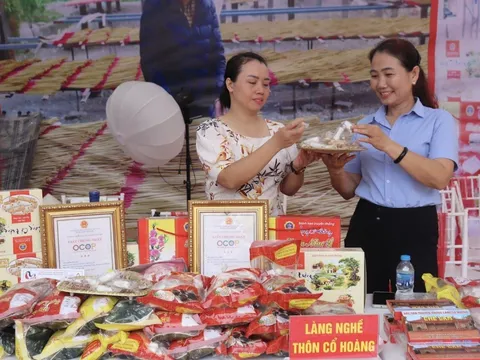 Thiết kế sáng tạo mở đường cho sản phẩm làng nghề trong bối cảnh hội nhập