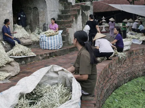OCOP gắn với du lịch trải nghiệm: Hướng đi mới của làng nghề Hà Nội