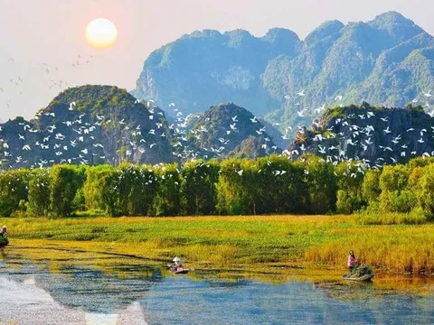 Tự thực và kiến tạo hệ sinh thái sống tỉnh thức