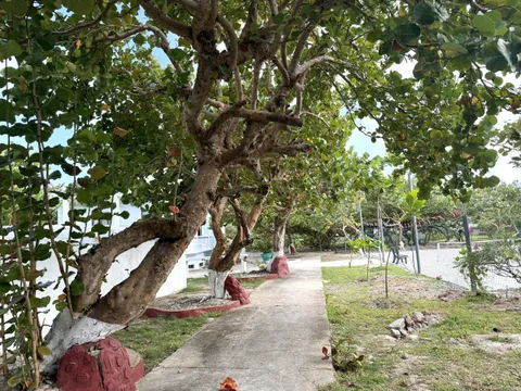 Lần đầu đến Trường Sa