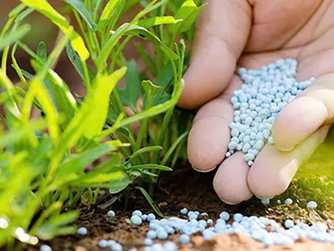 Chiến lược quản lý vật tư nông nghiệp: Hướng tới nền nông nghiệp sinh thái và trách nhiệm quốc gia