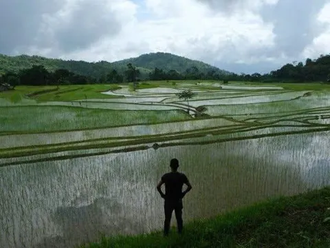 "Ông trùm" xuất khẩu gạo toàn cầu và những biến động trong bối cảnh hiện nay