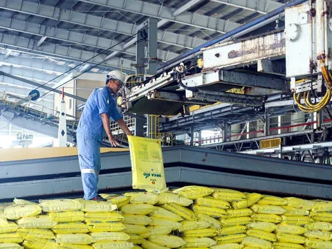 An ninh phân bón: Từ áp lực chi phí đầu vào đến chiến lược tự chủ sản xuất nông nghiệp