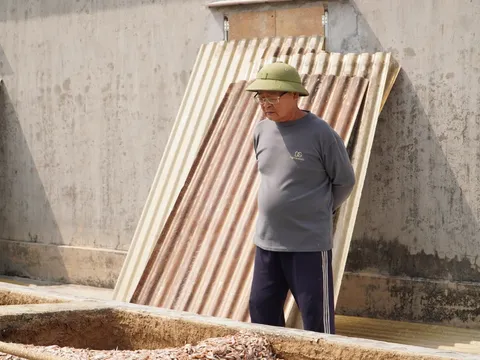 Một đời níu giữ vị mắm quê hương