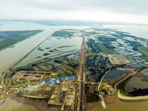 Chum mắm chờ cá: Nỗi trăn trở ở Đặc khu Cát Hải