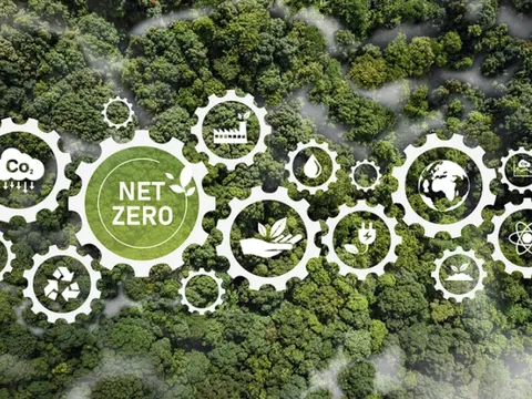 Tín chỉ carbon và cơ chế thị trường trong mục tiêu Net Zero của Hà Nội