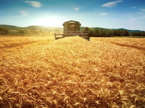 Nga phát minh đột phá trong lĩnh vực giảm phát thải nông nghiệp, củng cố vị thế "số 1 thế giới"