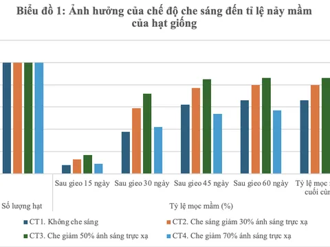 Nghiên cứu một số biện pháp kỹ thuật nhân giống cây mai vàng (Ochna integerrima (Lour.) Merr.) bằng gieo hạt trong điều kiện Ninh Bình