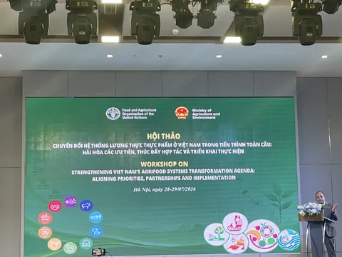 Gợi ý các ưu tiên về đất và nước trong chuyển đổi hệ thống lương thực, thực phẩm của Việt Nam theo FAO Roadmap
