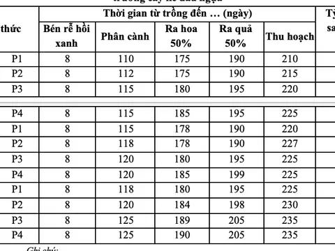 Ảnh hưởng của khoảng cách và liều lượng phân bón đến sinh trưởng, phát triển, năng suất và chất lượng của cây ké đầu ngựa (Xanthium strumarium L.) tại Hà Nội