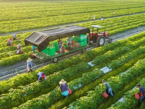 Công tác lãnh đạo, chỉ đạo và tổ chức thực hiện các chủ trương về phát triển nông nghiệp sinh thái, xanh, tuần hoàn