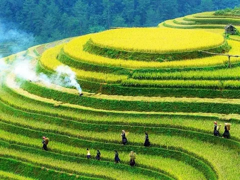 Định hướng của Đảng và Nhà nước Việt Nam về phát triển nông nghiệp sinh thái, xanh, tuần hoàn gắn với bảo vệ môi trường, thích ứng với biến đổi khí hậu và phát triển nông thôn bền vững