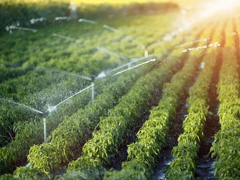 Cơ sở lý luận và thực tiễn phát triển nông nghiệp hữu cơ, nông nghiệp sinh thái, tuần hoàn trong định hướng thực hiện các mục tiêu phát triển bền vững
