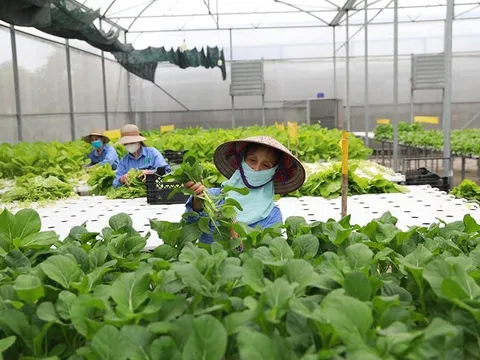 Phát triển nông nghiệp sinh thái, xanh, tuần hoàn gắn với bảo vệ môi trường, thích ứng với biến đổi khí hậu và phát triển nông thôn bền vững