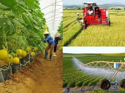 Mối quan hệ giữa phát triển kinh tế tập thể và xây dựng nông thôn mới trong tiến trình hiện đại hóa ở Việt Nam