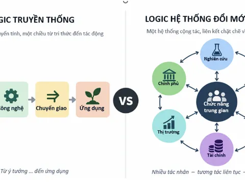 Chức năng trung gian ĐMST và một số đề xuất trong lĩnh vực nông nghiệp