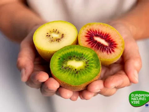 Sắc màu Kiwi Châu Âu đổ bộ thị trường Châu Á: Hành trình 1,8 triệu Euro mang tinh hoa vườn trồng đến bàn ăn Việt