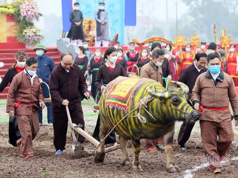 Chủ tịch nước xuống đồng cày ruộng ở lễ Tịch điền