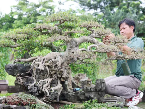 Hà Nội phát triển nông nghiệp sinh thái gắn với du lịch