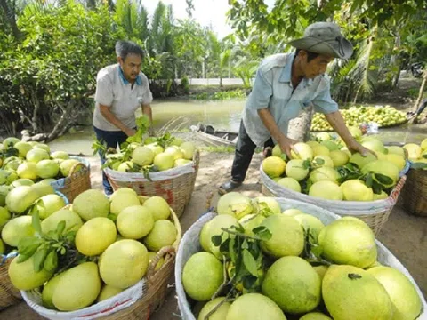 Thư mời gọi quan tâm và hợp tác Dự án “Trung tâm Đổi mới Sáng tạo Xanh trong Nông nghiệp và Thực phẩm”