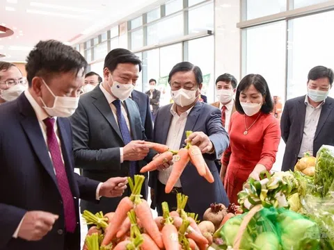 Lễ hội cà rốt - Từng bước xây dựng thương hiệu nông sản Hải Dương
