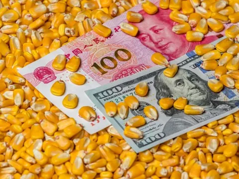 Nông nghiệp Mỹ trong thế 'lưỡng nan' vì thương chiến