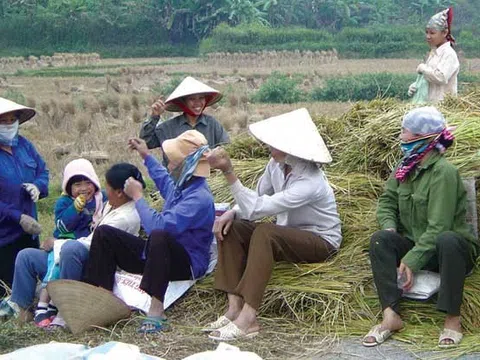 Di dân và vấn đề nông thôn