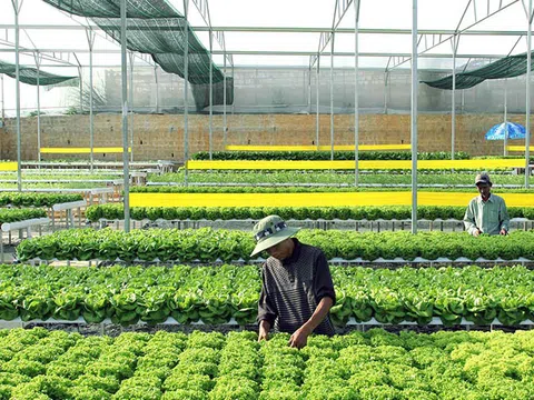 “Tặng” quy hoạch và hệ lụy khôn lường