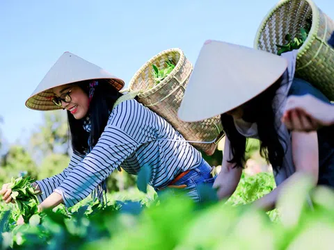 Hiến kế giải pháp phát triển chuỗi giá trị du lịch nông thôn