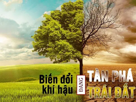 Vai trò của kinh tế tư nhân trong ứng phó với biến đổi khí hậu