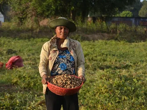 Trà Cú  - Trà Vinh: Chương trình hành động Quốc gia 'Không còn nạn đói' là cứu cánh cho người nghèo