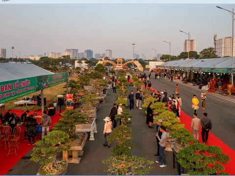 Nhiều tác phẩm Sinh vật cảnh độc đáo tại Festival sản phẩm Nông nghiệp và làng nghề Hà Nội