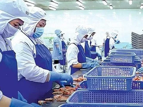 Xuất khẩu thủy sản: Cán đích thành công
