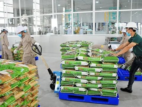 Giá gạo ở mức cao, xuất khẩu có nhiều cơ hội đột phá trong năm 2023