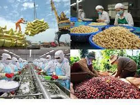 Nâng cao chất lượng, đẩy mạnh năng suất nông sản Việt gắn với mục tiêu bền vững năm 2023