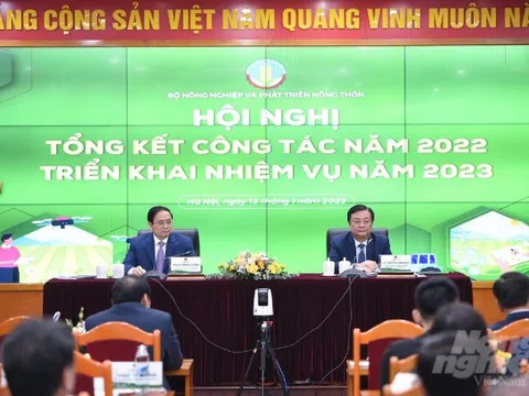 Nhìn lại một năm nhiều chuyển biến của nền Nông nghiệp Việt Nam